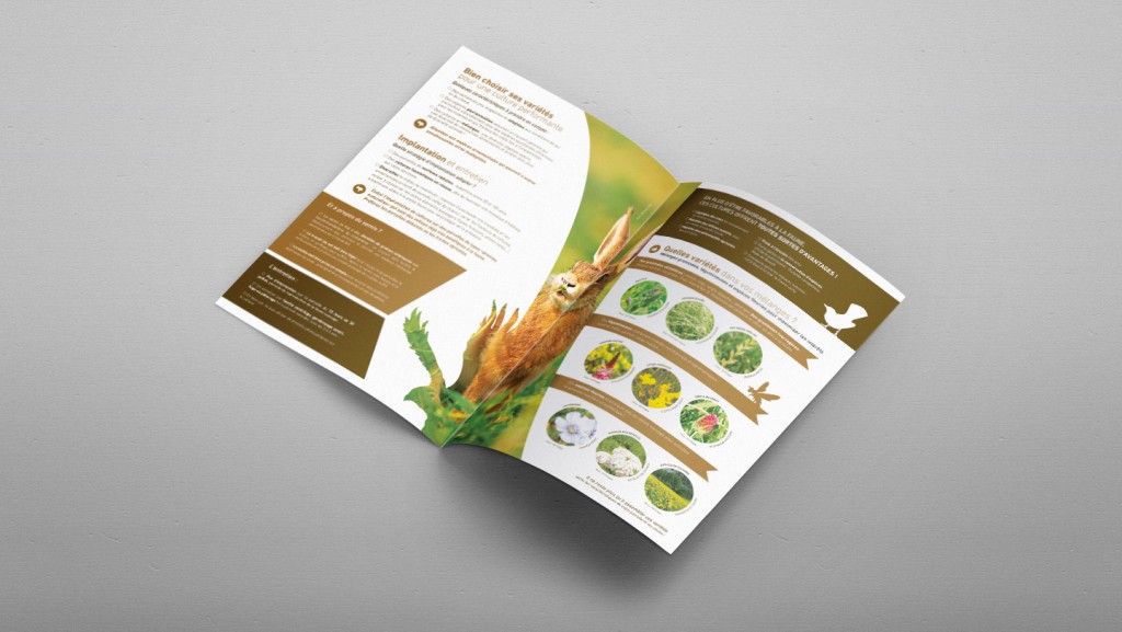 creation-edition-brochure-plaquette-federation-regionale-des-chasseurs-image-une-infographie