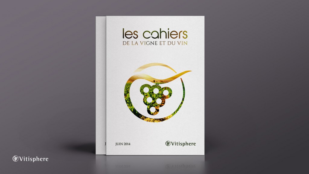 creation-edition-brochure-plaquette-vitisphere-infographie