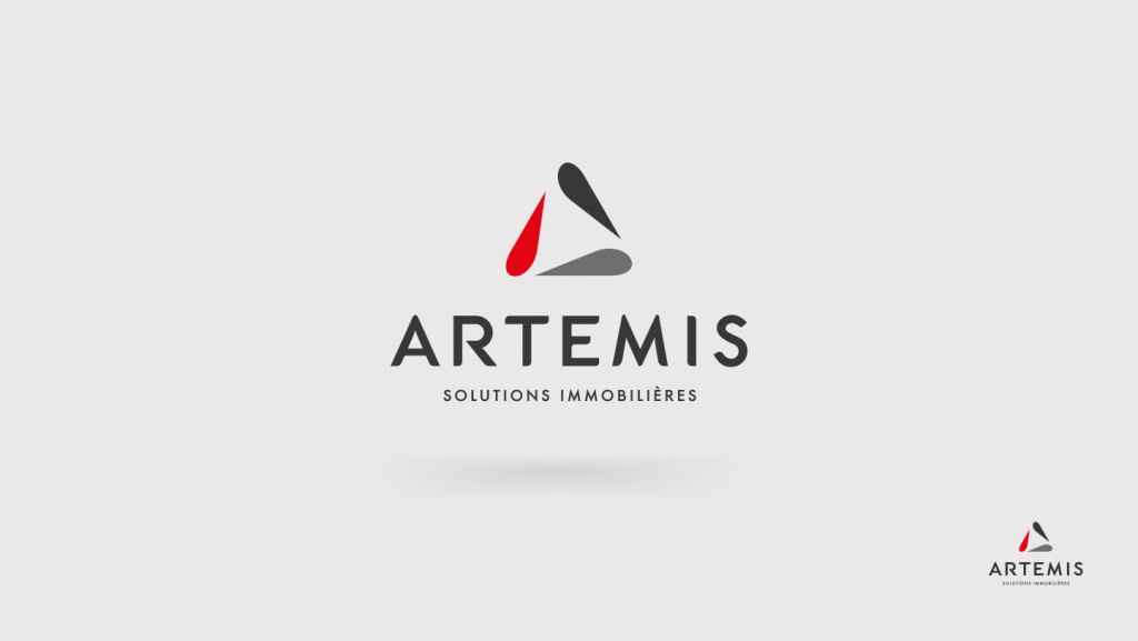 creation-identite-visuelle-logo-artemis-logo