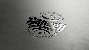 creation-identite-visuelle-logo-damien-casales-design-graphique