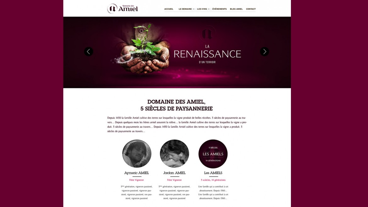 creation-site-internet-responsive-domaine-des-amiel-home-page