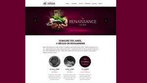 creation-site-internet-responsive-domaine-des-amiel-home-page