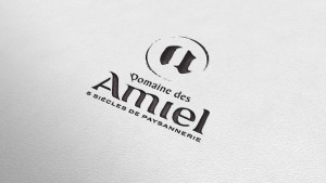 creation-site-internet-responsive-domaine-des-amiel-logo-web