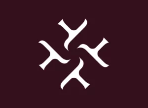 image logo helyxir identite visuelle osb communication