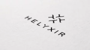 logo helyxir branding phone identite visuelle osb communication
