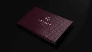 logo helyxir papeterie phone design identite visuelle osb communication