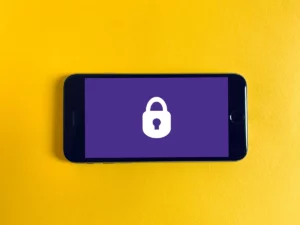 Comment sécuriser un site web ?