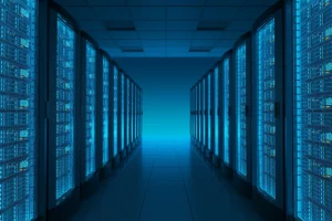 Quelle est la meilleure plateforme d’hébergement pour un site professionnel ?