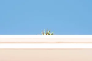 Pourquoi la communication d’entreprise est souvent négligée ?