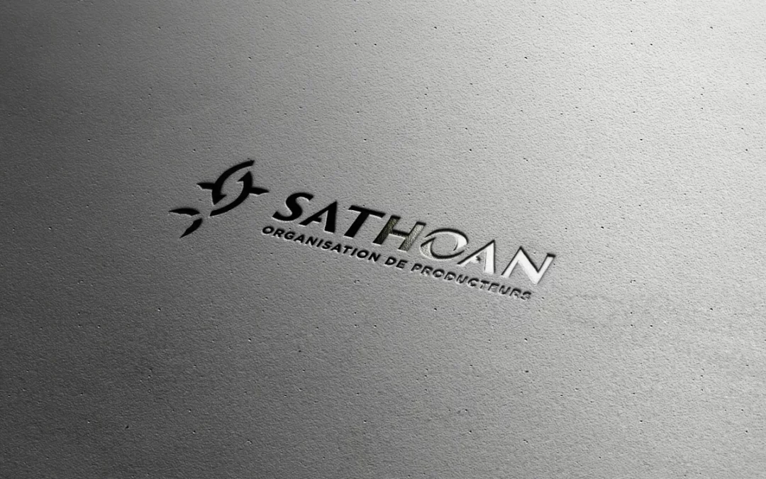 Visuel creation de logo a montpellier