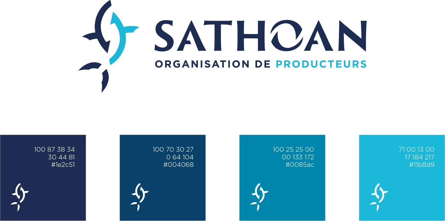 charte-couleur-logo-sathoan-identite-visuelle-logo-design-graphique-osb-communication-montpellier charte-couleur-logo-sathoan-identite-visuelle-logo-design-graphique-osb-communication-montpellier