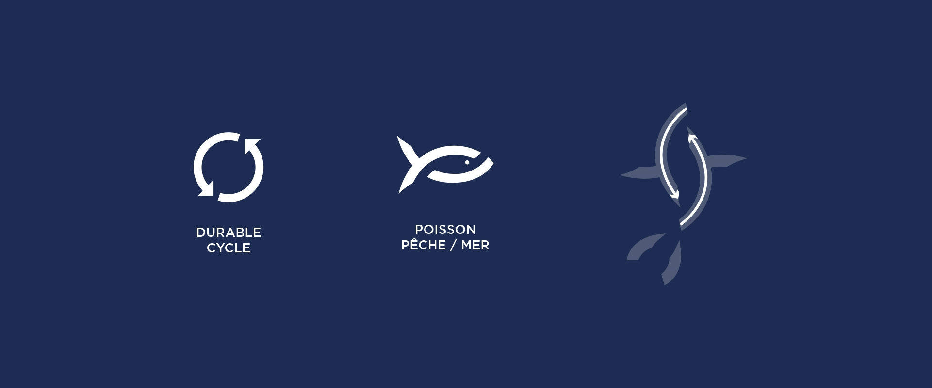 explication-sens-logo-sathoan-identite-visuelle-logo-design-graphique-osb-communication-montpellier explication-sens-logo-sathoan-identite-visuelle-logo-design-graphique-osb-communication-montpellier