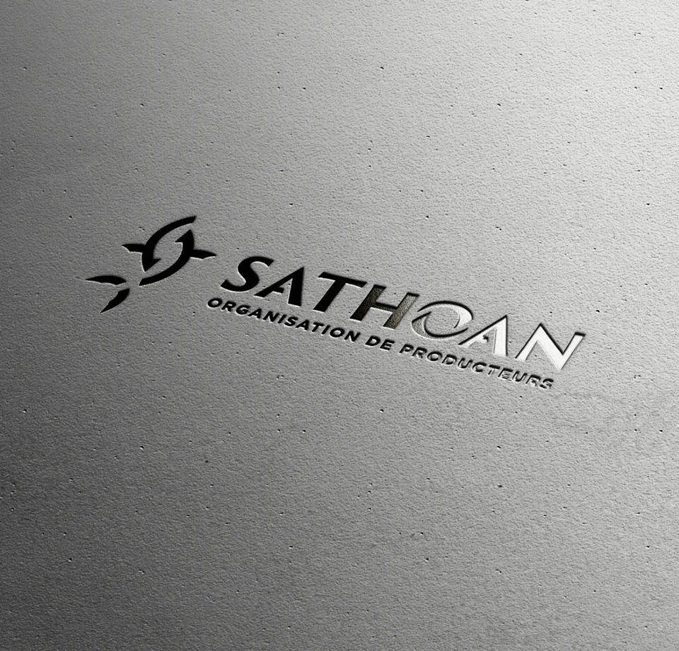 logo-sathoan-identite-visuelle-logo-design-graphique-osb-communication-montpellier logo-sathoan-identite-visuelle-logo-design-graphique-osb-communication-montpellier