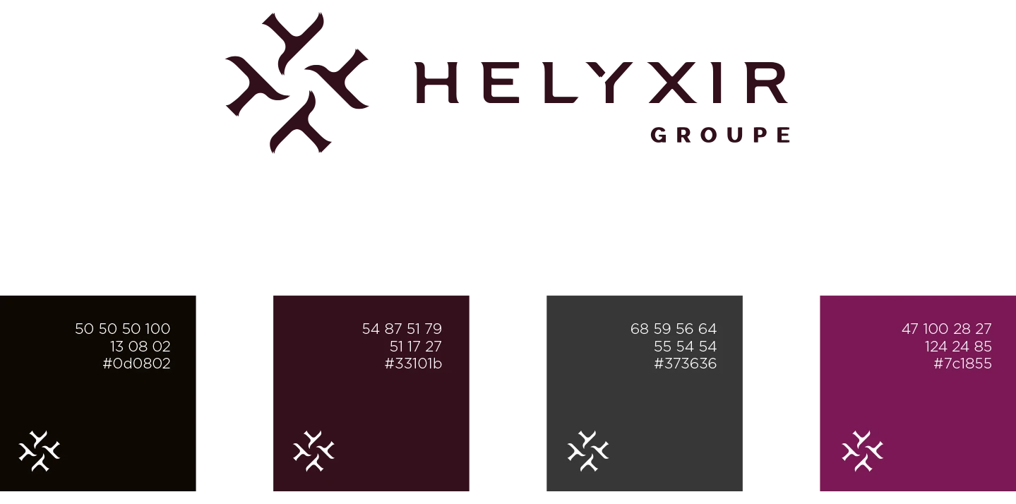 charte-couleur-logo-helyxir-groupe-identite-visuelle-logo-design-graphique-osb-communication-montpellier